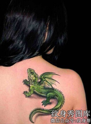 美女背部3D彩色蜥蜴纹身图案图片