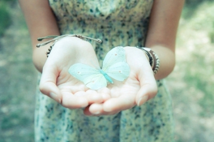 迷人的蝴蝶唯美意境图片