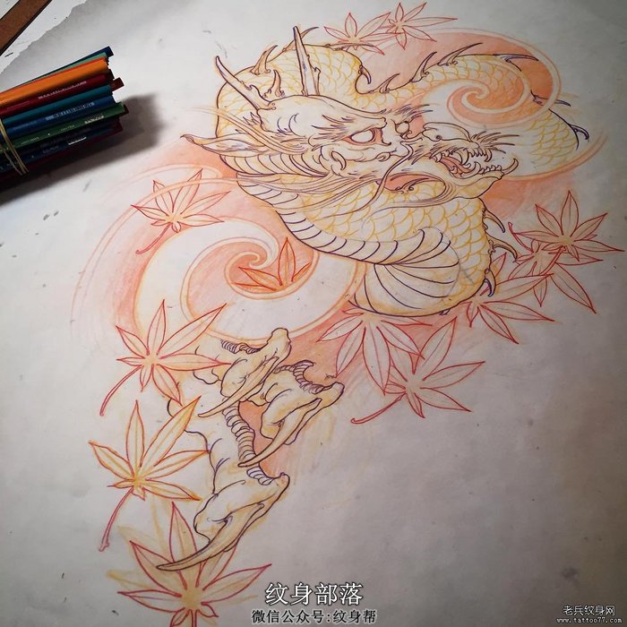 枫叶龙传统纹身图案手稿