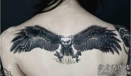 MM背部霸气的黑白老鹰纹身图