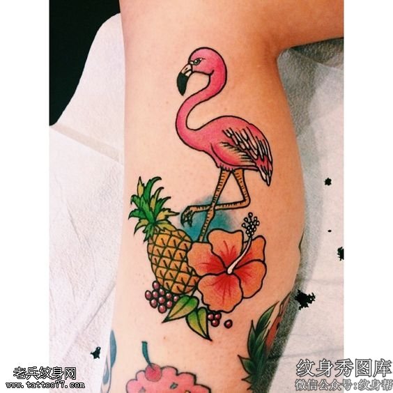 小腿的热带水果火烈鸟纹身图案