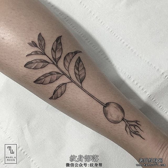 小腿生长的萝卜纹身tattoo图案