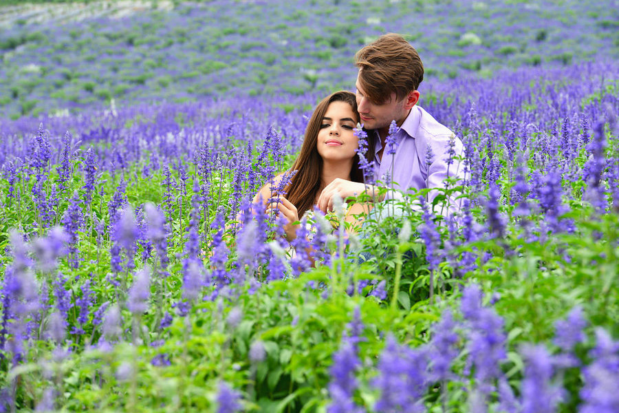 薰衣草花园里的紫色情侣图片