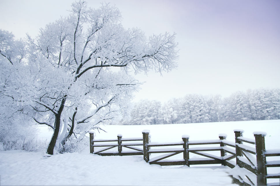 雪花满地自然风景图片素材