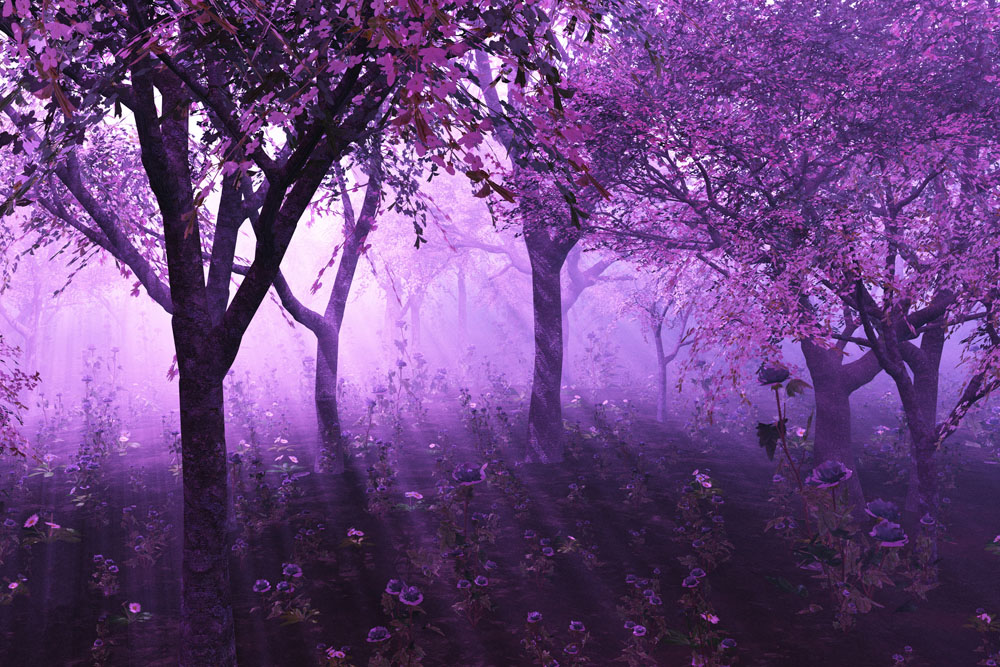 紫色梦幻风景图片大全推荐