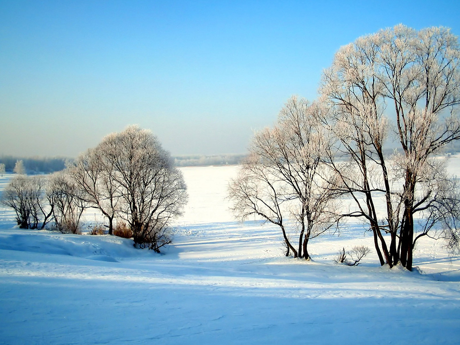 唯美冬天风景图片大全