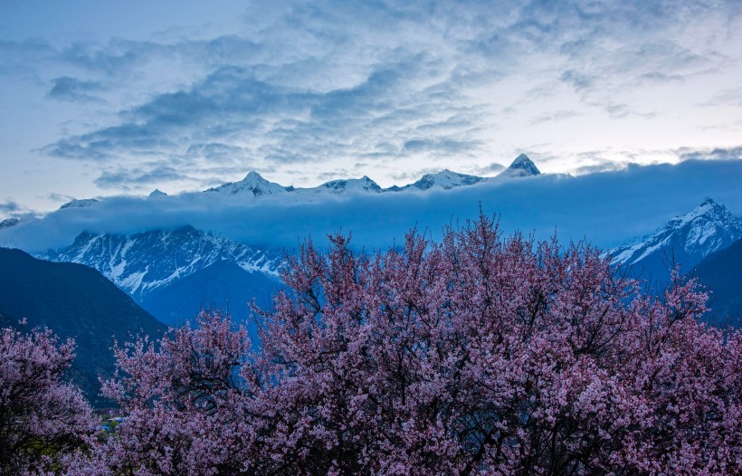 西藏林芝南迦巴瓦峰自然风景图片
