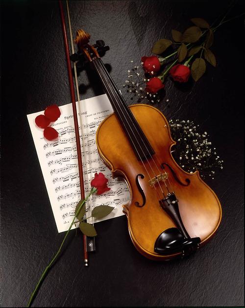 优美小提琴意境图片素材