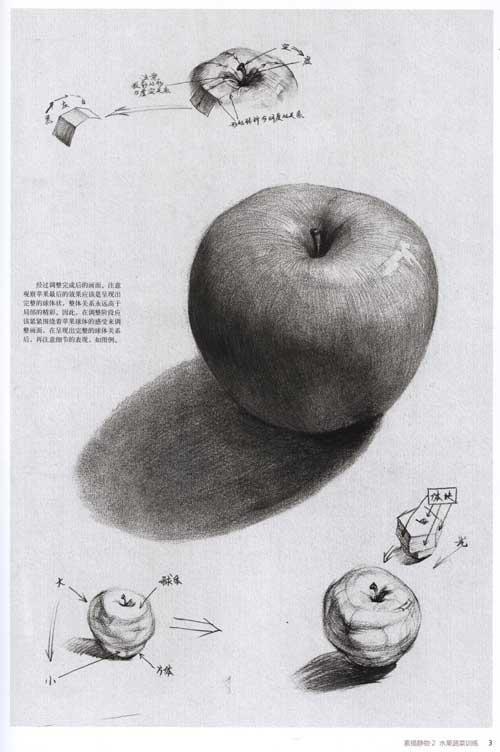 静物素描图片作品:水果素描图片(2)
