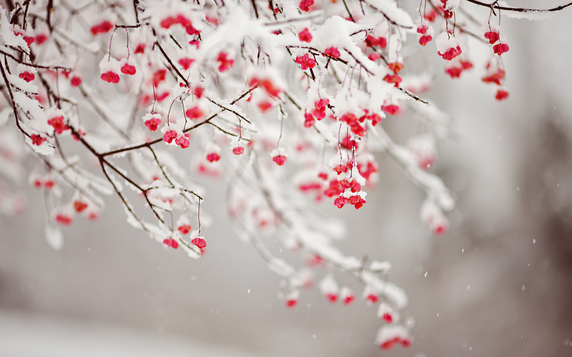 唯美意境雪景图片 冬季雪景唯美意境宽屏高清电脑桌面主题壁纸