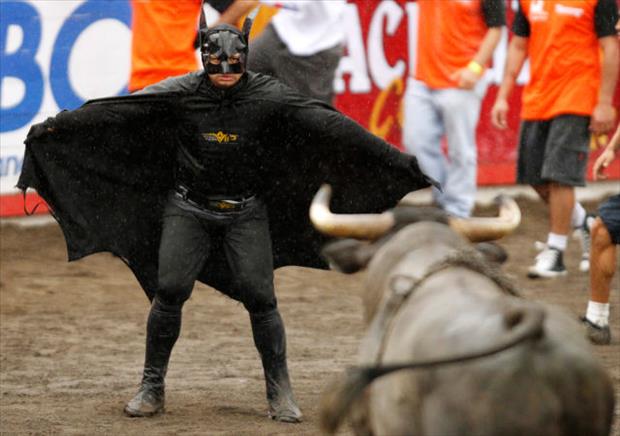 蝙蝠侠斗牛士之超级搞笑图片