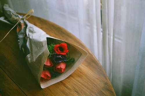 不属于你世界的花  意境唯美玫瑰花图片