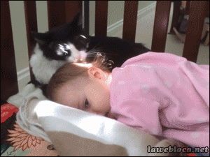 萌宠物与宝宝们的和谐生活