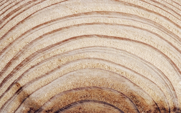 苍老的木纹木头图片 微信背景图片