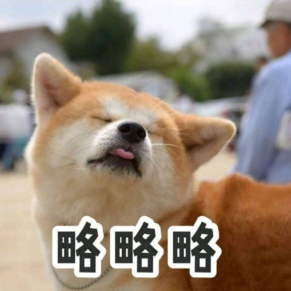 柴犬搞笑QQ表情包