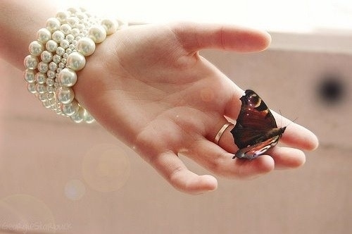 手心中的蝴蝶唯美图片素材