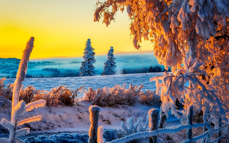 冬季雪景意境唯美壁纸