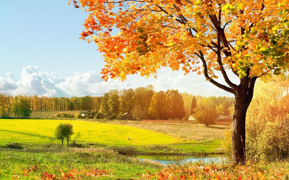 唯美自然秋季风景高清桌面壁纸