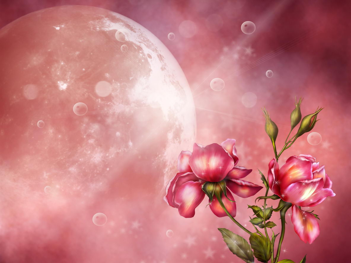 月亮下的唯美意境花朵壁纸图片大全
