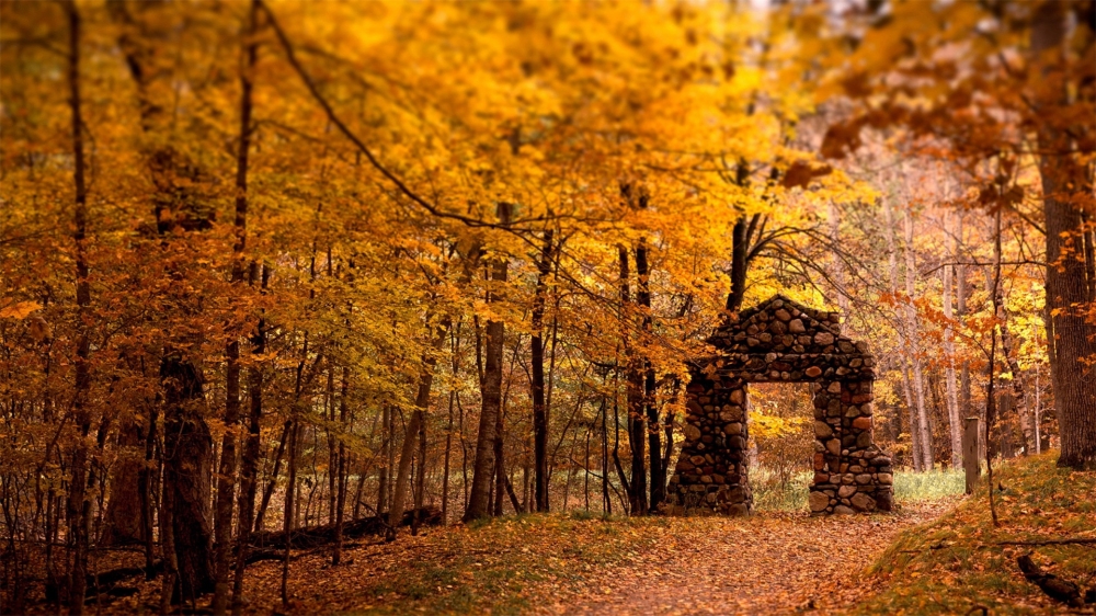 唯美的秋色美景自然风光高清电脑桌面主题壁纸图片
