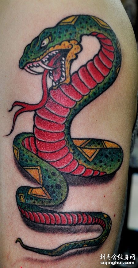 手臂红绿大蛇纹身图案