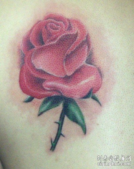 彩色玫瑰花纹身图案