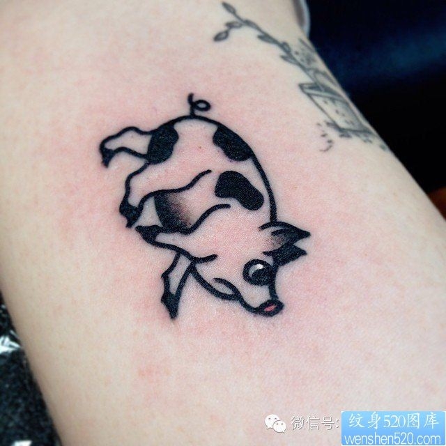 一组tattoo十二生肖の猪纹身图案由纹身提供