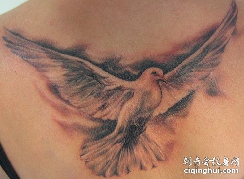胸部飞翔的鸽子纹身图案
