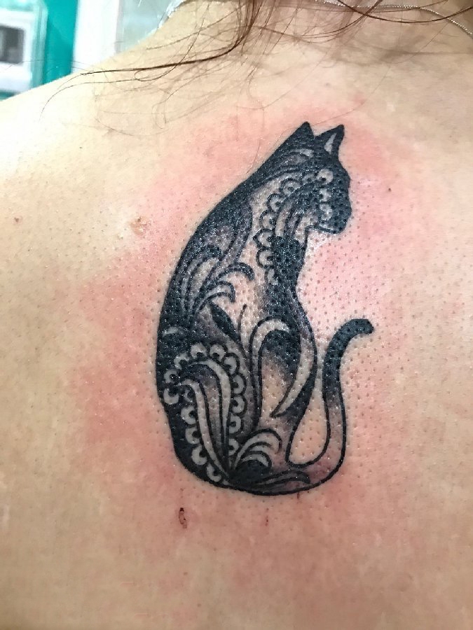 小清新猫咪纹身 女生背部小清新猫咪纹身图片