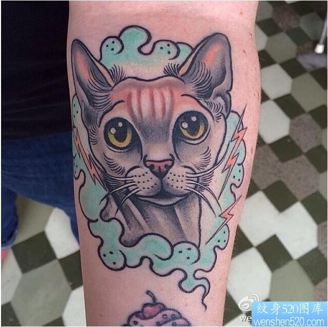 纹身520图库推荐一幅手臂猫咪纹身图片