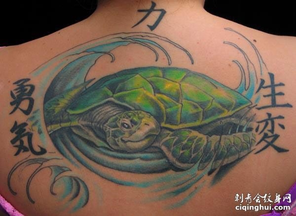 背部乌龟纹身图案