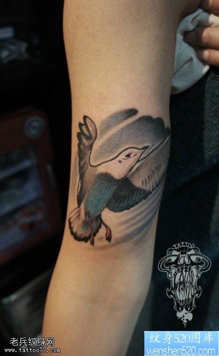 纹身520图库提供眼睛手臂鸽子纹身图案