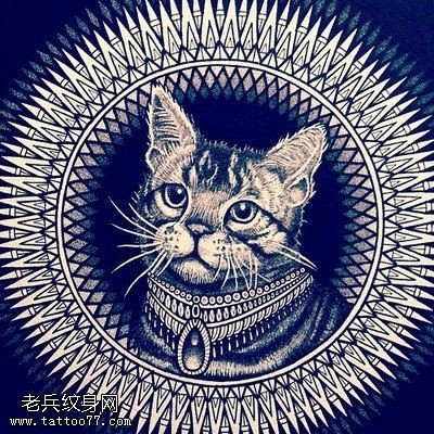 猫咪纹身手稿图案