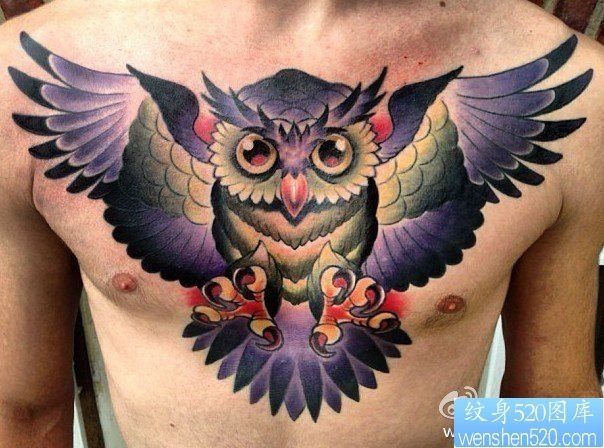 纹身520图库推荐一幅胸部彩色猫头鹰纹身图片