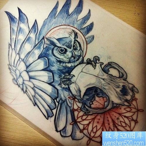 猫头鹰骷髅纹身手稿图案