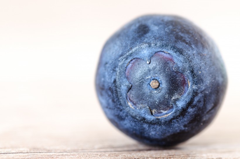 清香可口的蓝莓图片 水果图片(6)