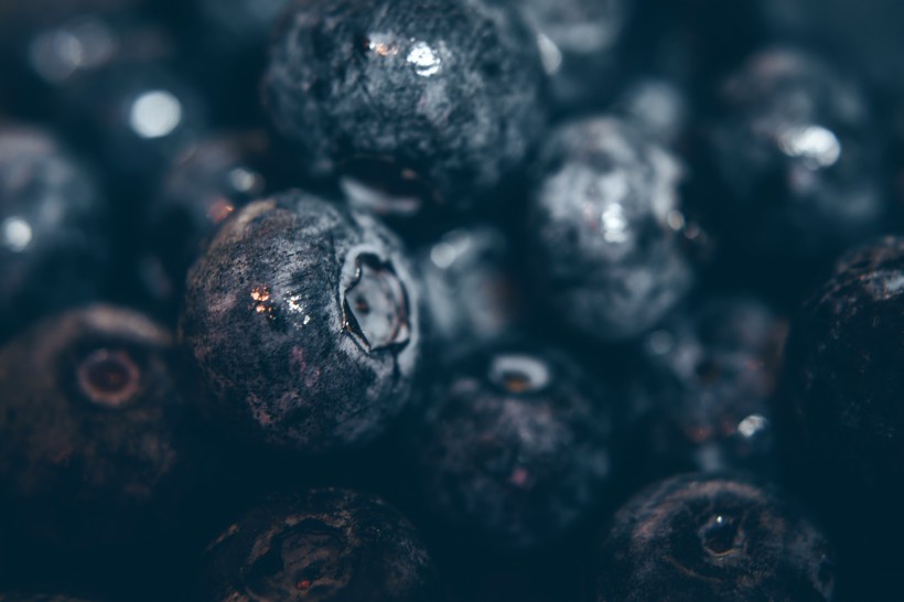 清香可口的蓝莓图片 水果图片(7)