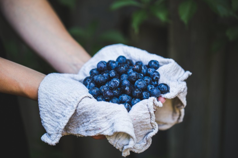 清香可口的蓝莓图片 水果图片(4)