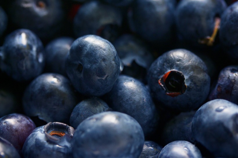 清香可口的蓝莓图片 水果图片(3)