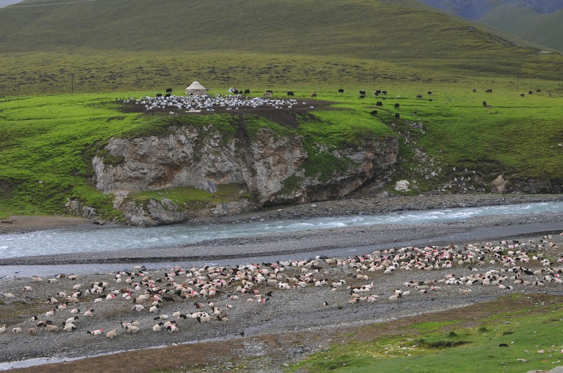 新疆天山牧场风景图片 风景图片(3)