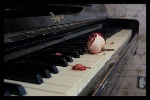 钢琴图片唯美(3)