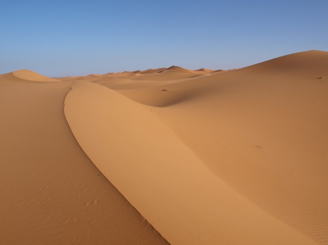 非洲撒哈拉沙漠图片