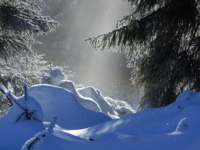 美丽冬日雪景图片