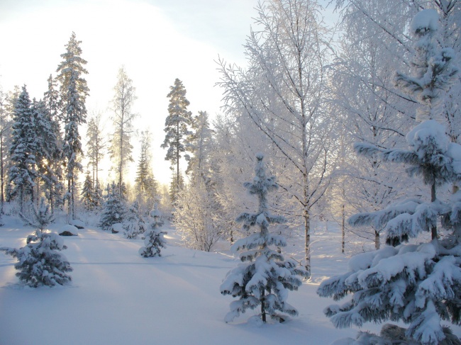 雪天高清自然风景图