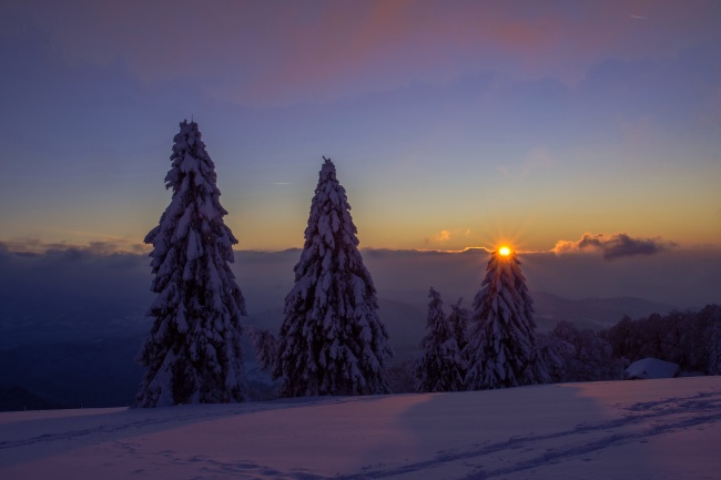 冬季日出唯美风景图片