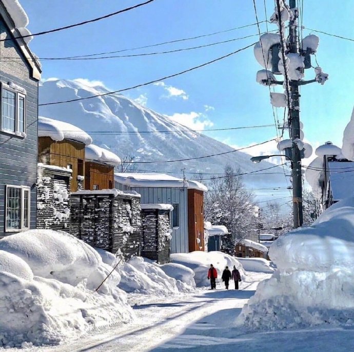 北海道雪景背景图片(4)