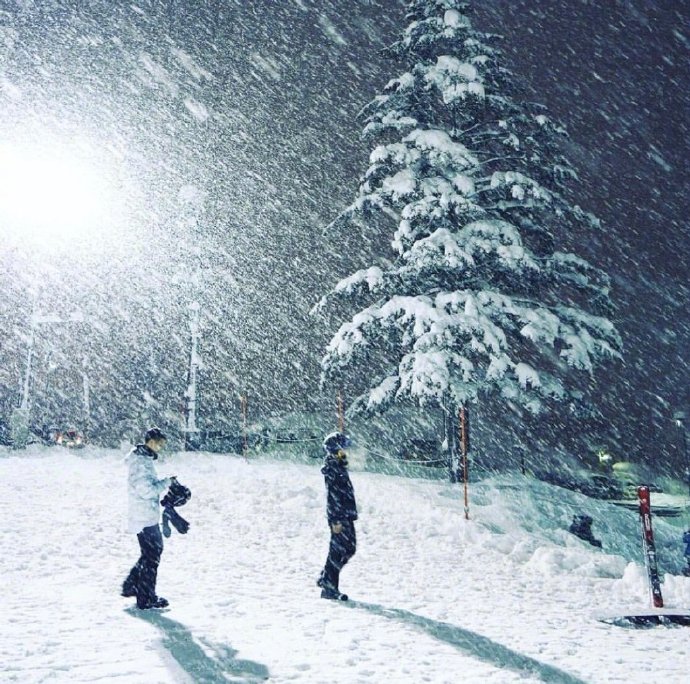 北海道雪景背景图片(8)