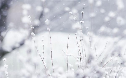 雪景图片 关于下雪的图片大全(7)