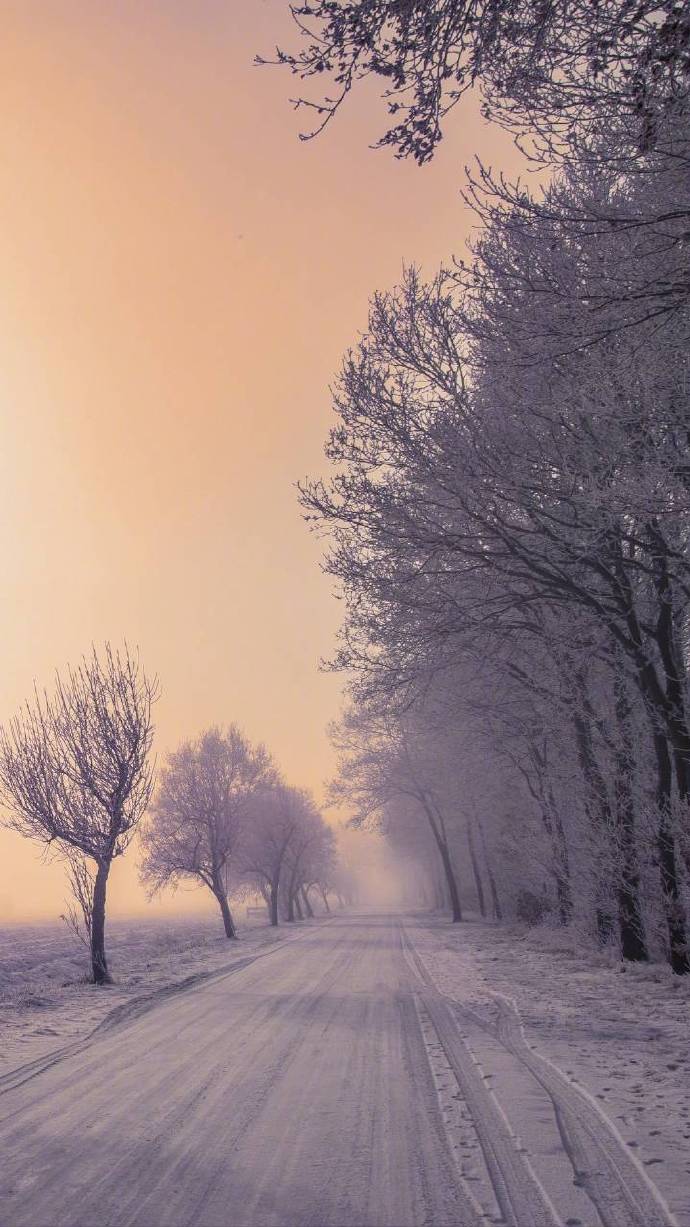 冬天唯美图片 冬日树林雪景图片(2)
