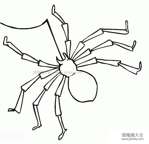 可怕的蜘蛛简笔画